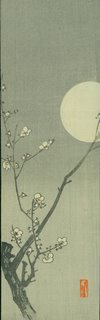 plum blossoms with moon