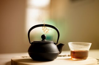 Elderflower Tea for the Winter Season
