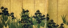 Irises by Ogata Korin Edo 1700s, Tokyo