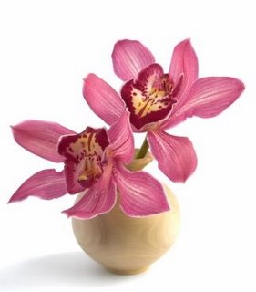 Orchid with Wood Vase