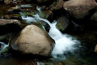 set your zen timer for a mini-meditation