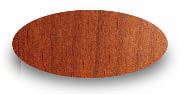 Honey Wood Finish